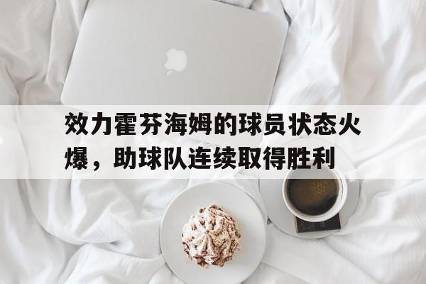 效力霍芬海姆的球员状态火爆，助球队连续取得胜利的简单介绍